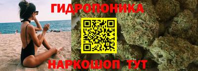 скорость Будённовск