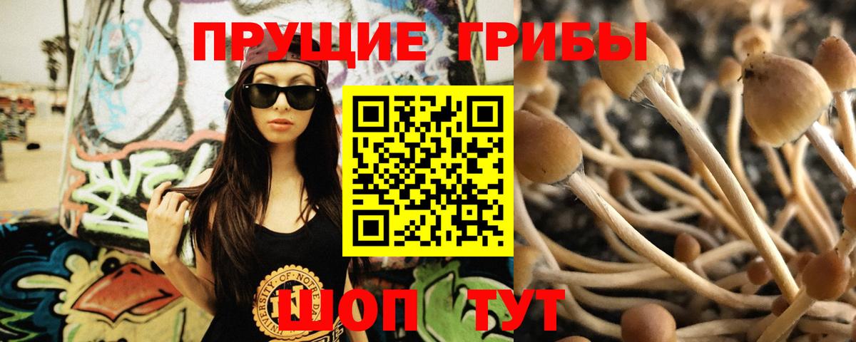 Галлюциногенные грибы Psilocybe  Вход с VPN  Псилоцибиновые грибы GOLDEN TEACHER  Вышний Волочёк 